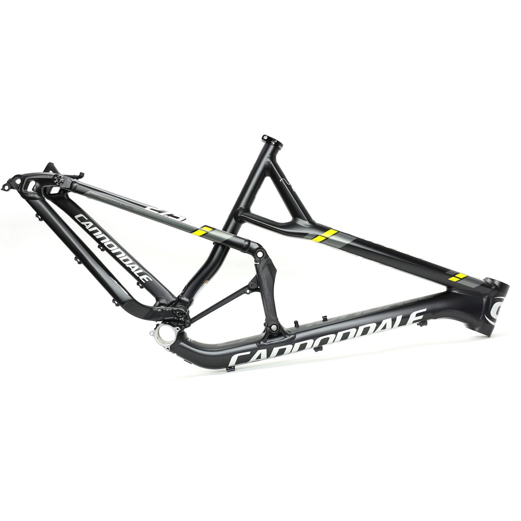 Cannondale jekyll 3000 on sale