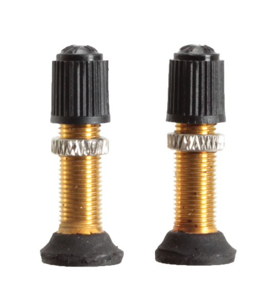 Stan's Schrader Valve Stem and Core, 32mm Universal - Pair