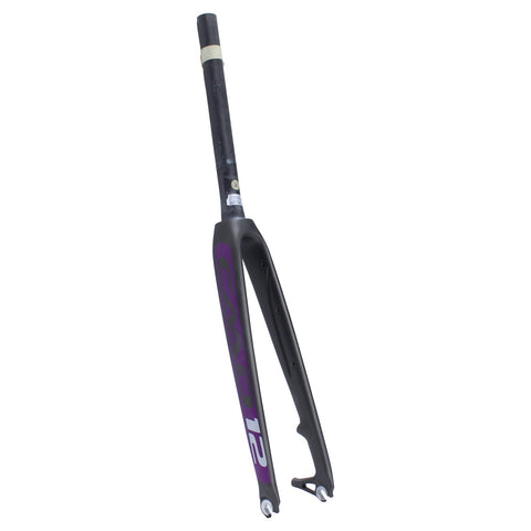 Cannondale CAAD12 Carbon Disc Road Fork Gey/Purple NOS C13397M95F1