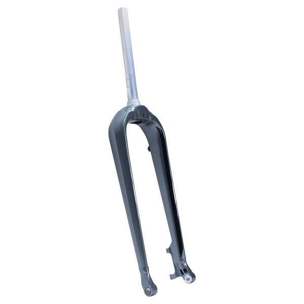 Cannondale Fat CAAD Alloy Fat Bike Disc Fork Metallic Grey C28190M10F1