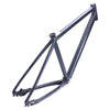 Cannondale Bad Boy Belt Drive Horizontal Dropout Frame Only BBQ Small