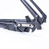 Cannondale Bad Boy Belt Drive Horizontal Dropout Frame Only BBQ Large