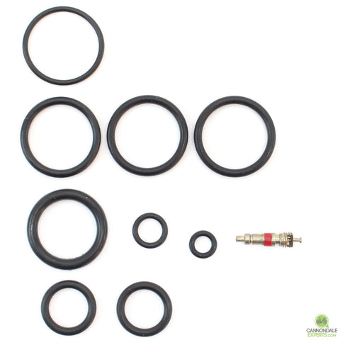 CannondaleExperts.com Cannondale Lefty 32mm 1.0 Abbreviated 100 Hour Seal Kit